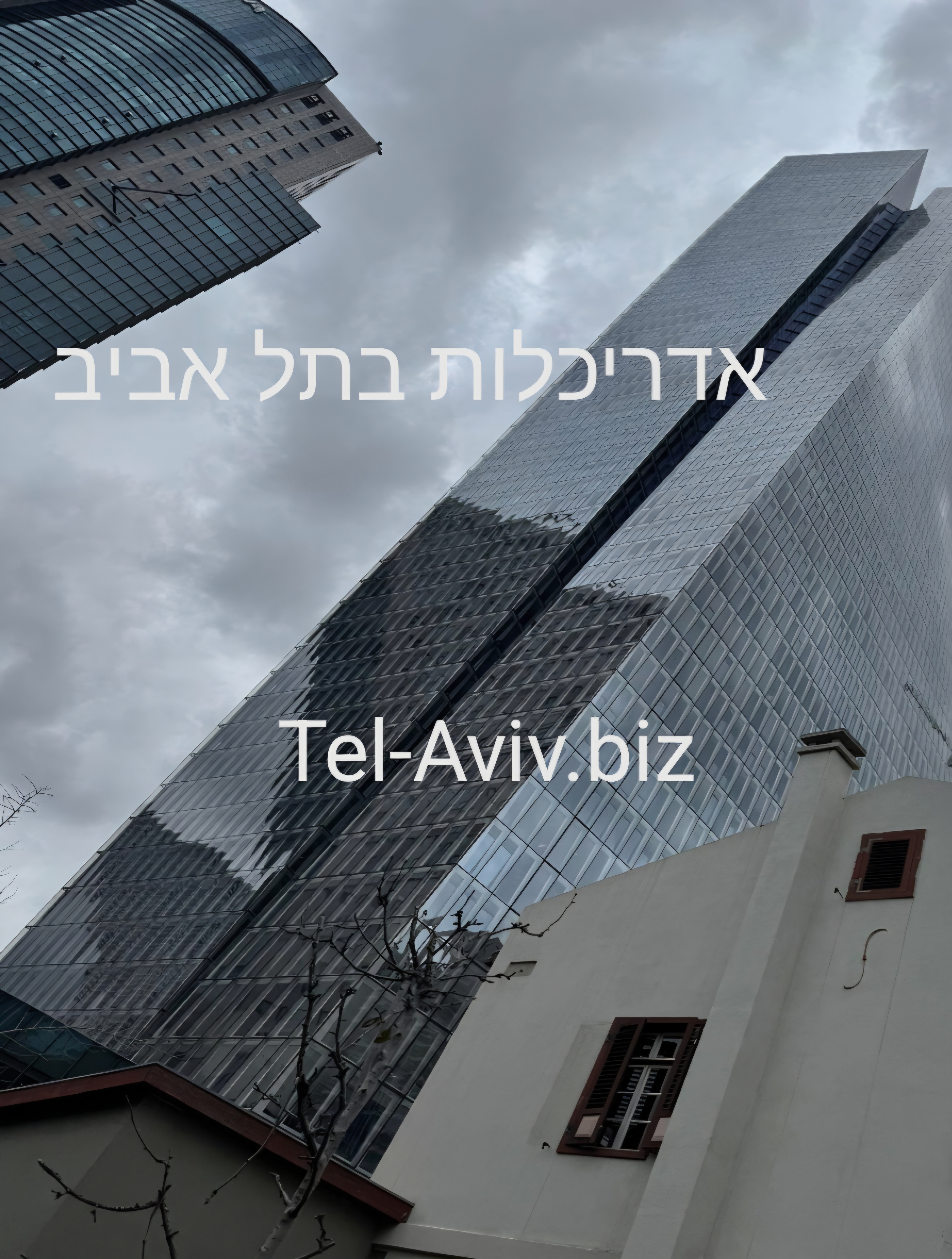 אבי אגמ סטודיו לעיצוב פנים